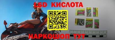 спиды Кингисепп