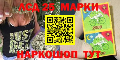 спиды Кингисепп
