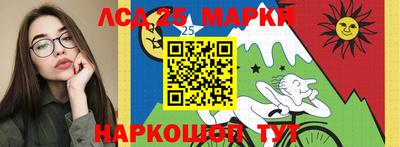 спиды Кингисепп