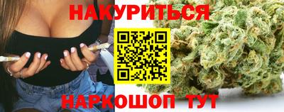 спиды Кингисепп