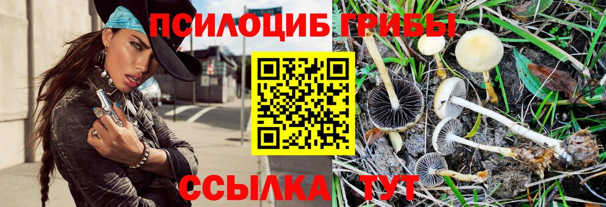 Галлюциногенные грибы прущие грибы  Вход с VPN  Курск 